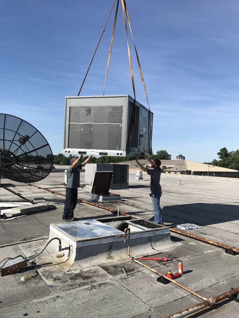 Work Photo 1